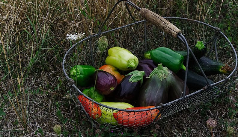 Légumes